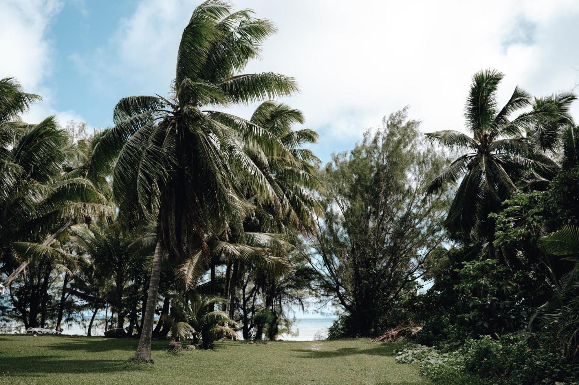 Tai'Inu Bungalows عموري المظهر الخارجي الصورة